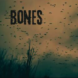 Bones