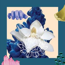 Bloom