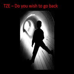 Do you wish to go back