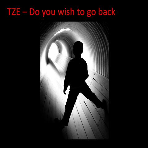 Do you wish to go back