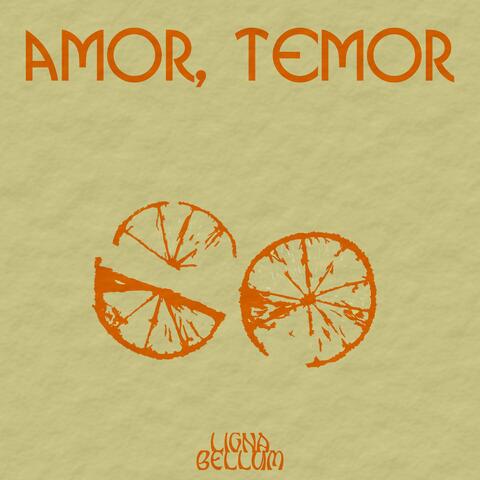 Amor, Temor