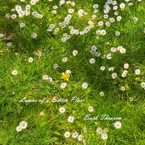 Lawns of a Better Place