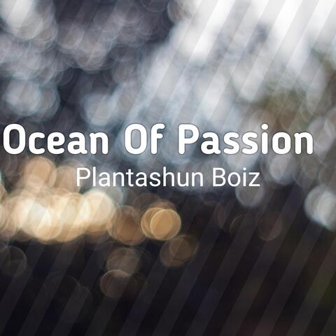 Ocean Of Passion