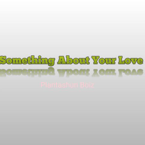 Something About Your Love