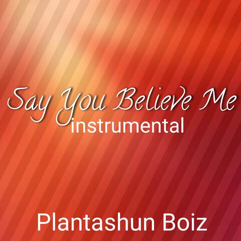 Say You Believe Me
