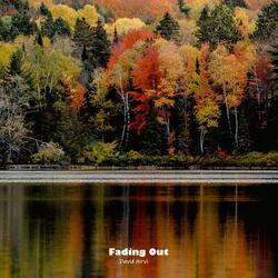 Fading Out