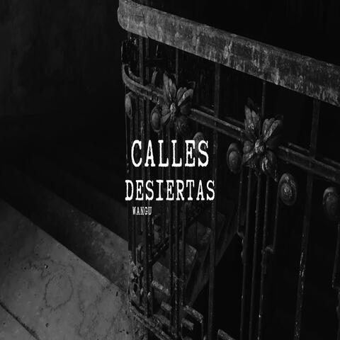 CALLES DESIERTAS, Vol. 1