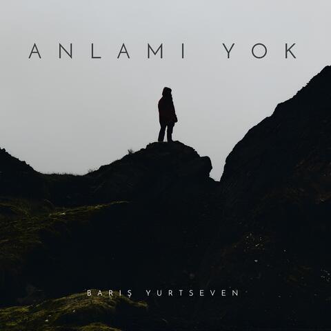 Anlamı Yok