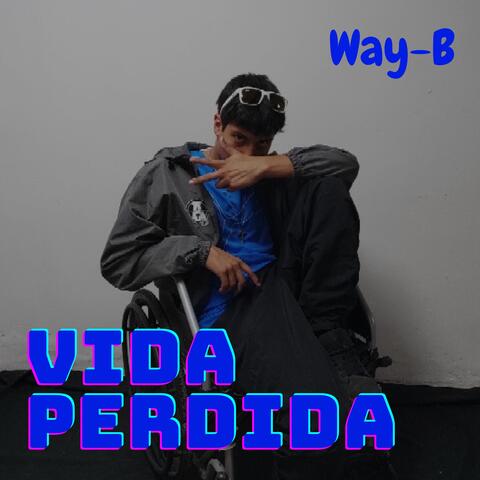 vida perdida