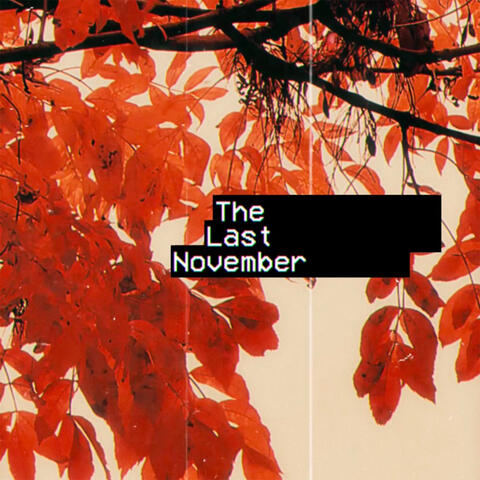 The Last November
