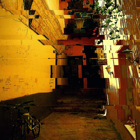 Reusable Plastic Fork