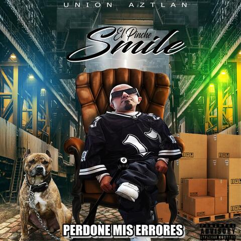perdone mis errores