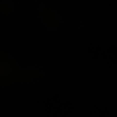 Blacked Out