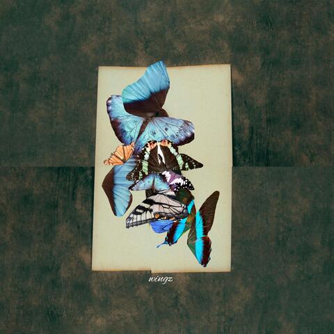wingz