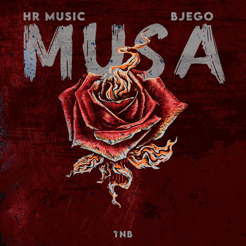 MUSA