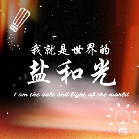 我就是世界的盐和光