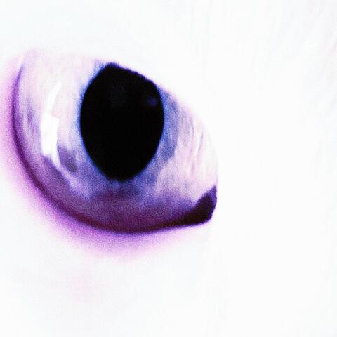 VICE