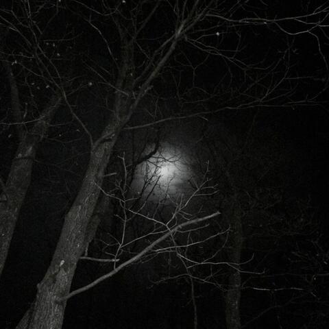 it's always been you