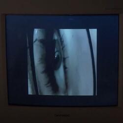 ik weet een plek waar de zon nog mooier is