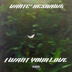 I Want Your Love