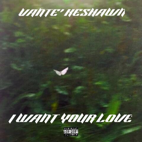 I Want Your Love