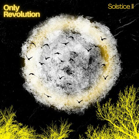Solstice II