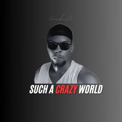 Such A Crazy World