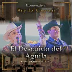 El Descuido Del Aguila