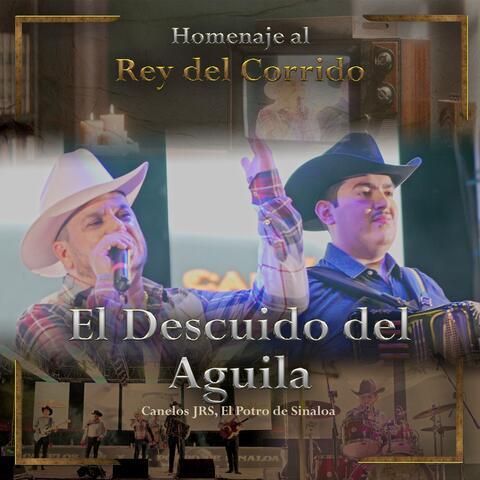 El Descuido Del Aguila