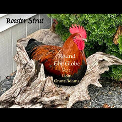 Rooster Strut