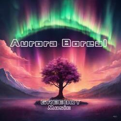 Aurora boreal