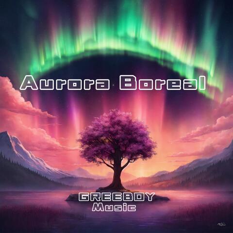 Aurora boreal