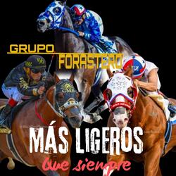 El ciriloco