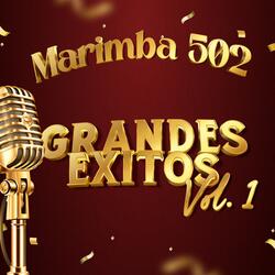 Mix Sergio Bailador