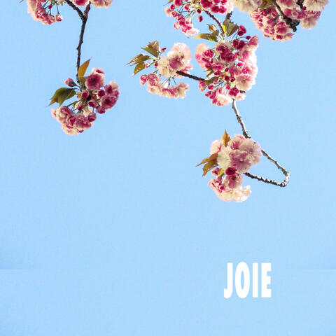 Joie