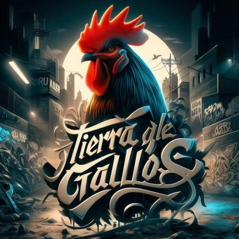 Tierra de Gallos