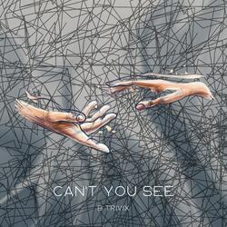 Can't You See