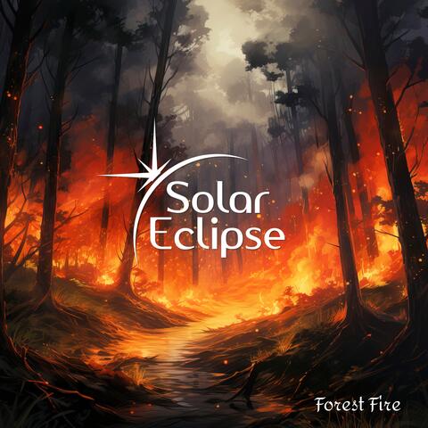 Forest Fire