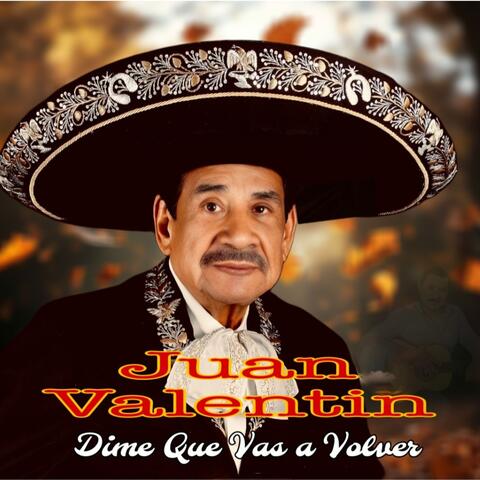 DIME QUE VAS A VOLVER