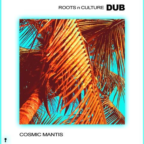 ROOTS n CULTURE