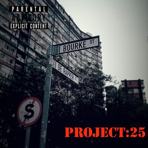 PROJECT 25
