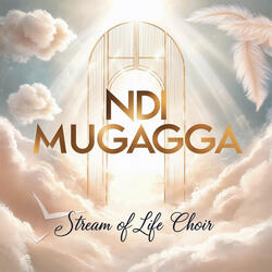 Ndi Mugagga