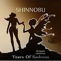 Tears of Sadness (Enigma's Memories)
