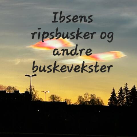 Ibsens ripsbusker og andre buskevekster
