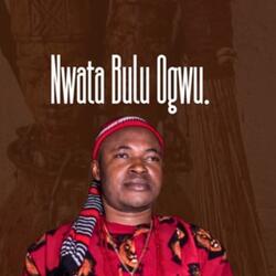 Nwata Bulu Ogwu