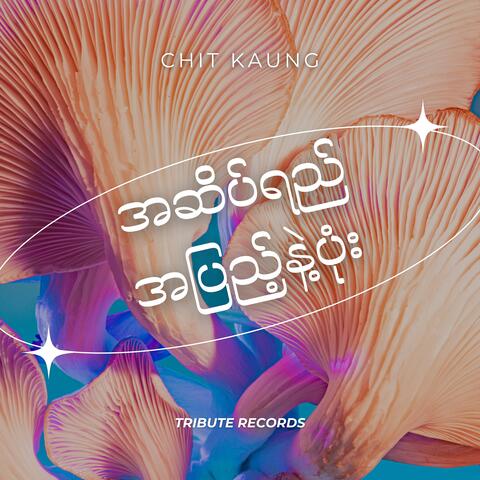 အဆိပ်ရည်အပြည့်နဲ့ပုံး