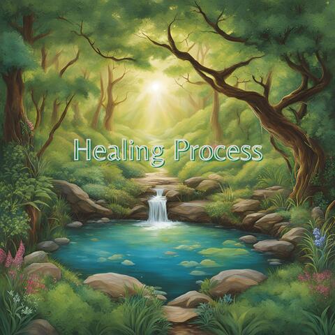 Healing Process