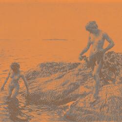 A Flock of Birds Greeted Me