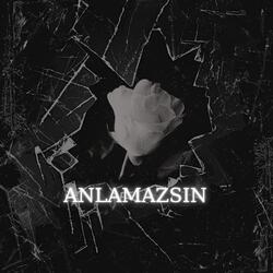 Anlamazsın