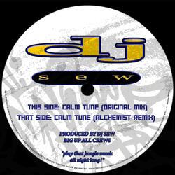 Calm Tune (Remix)